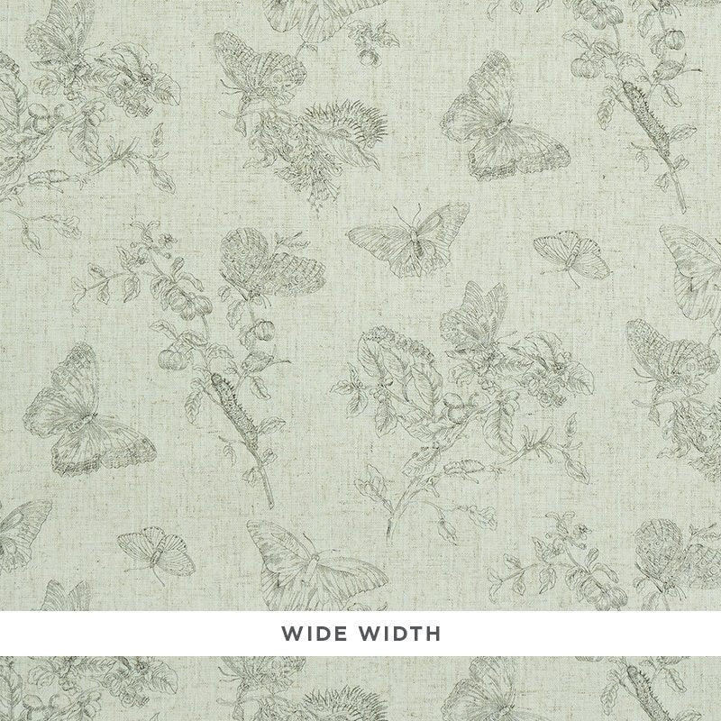 Acquire 5011830 Baudin Butterfly Linen Black Schumacher Wallcovering Wallpaper