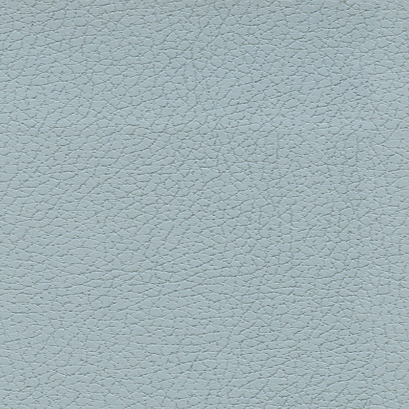Purchase sample of 303-2698 Brisa, Sterling Blue by Schumacher Fabric