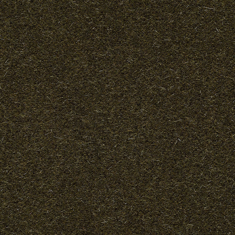 Purchase sample of 74500 San Carlo Mohair Velvet, Olive by Schumacher Fabric