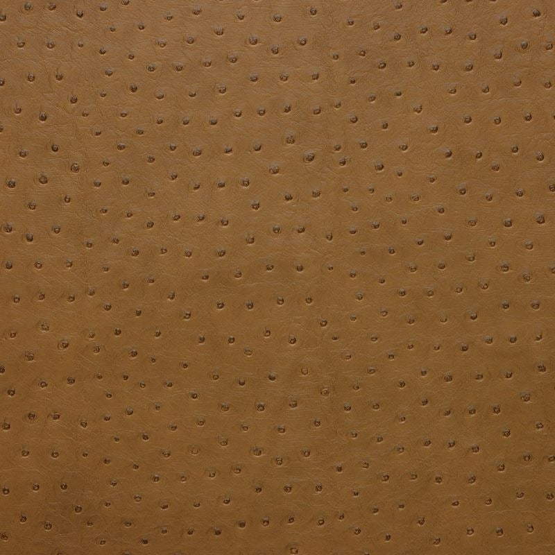 Looking SENNA.616 Kravet Design Upholstery Fabric