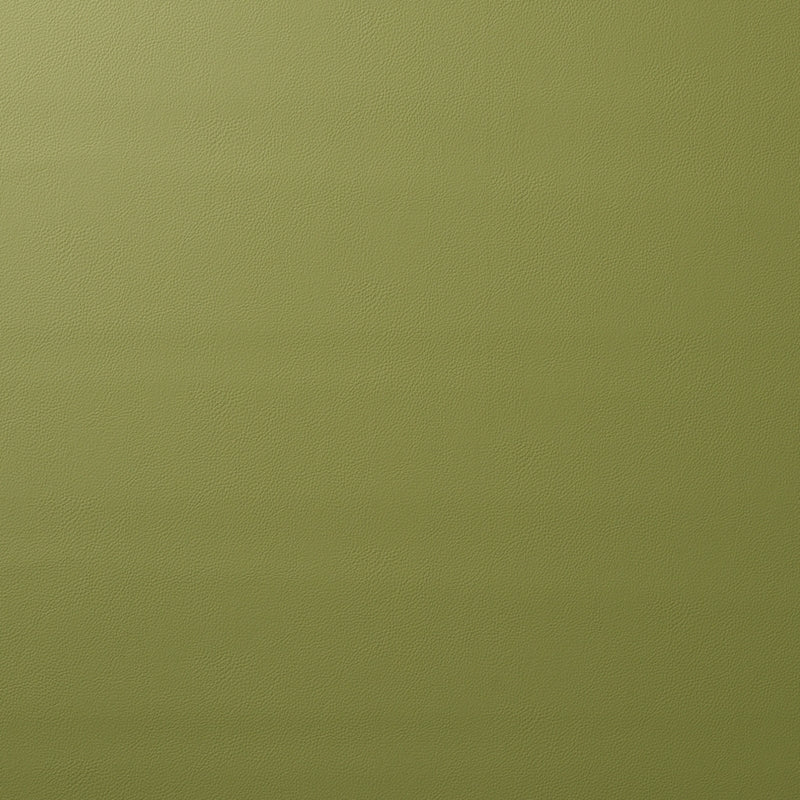 Purchase sample of 80907 Indoor/Outdoor Vegan Leather, Moss by Schumacher Fabric