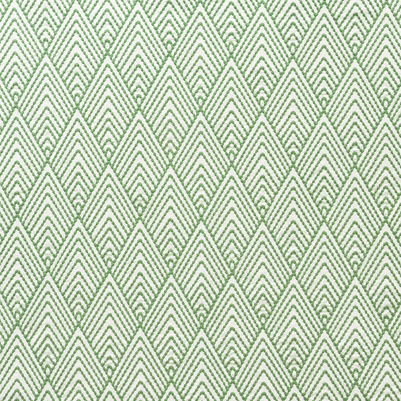 Purchase sample of 75370 Avila Embroidery, Green by Schumacher Fabric