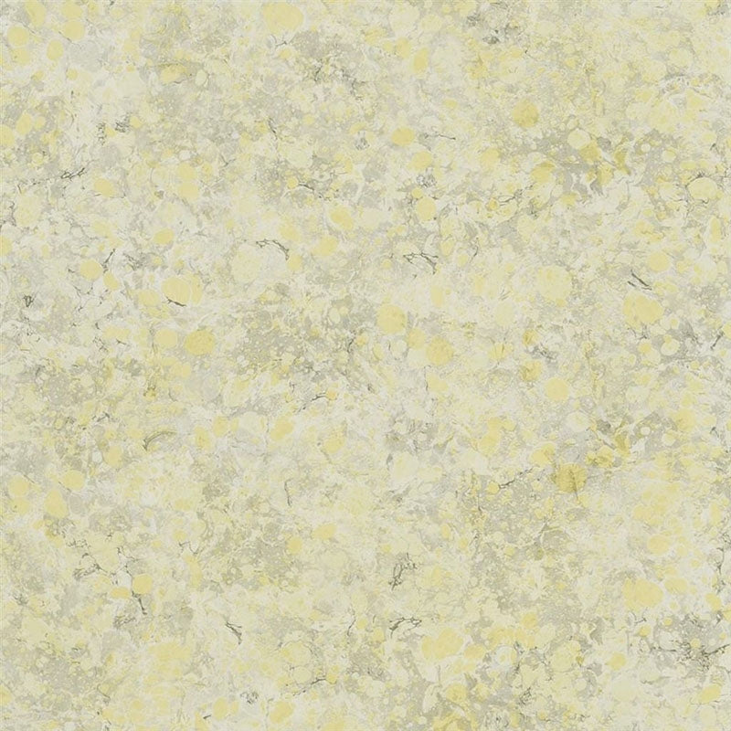 Sample PDG1025-03 Lustro Birch by Designer Guild Wallpaper