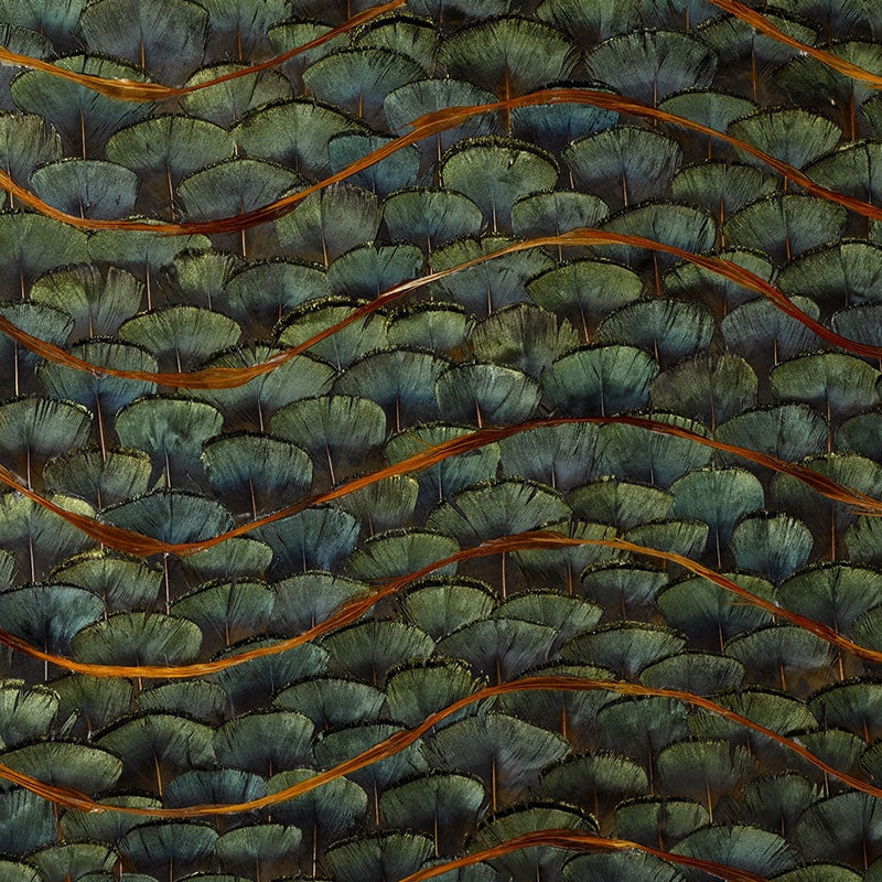 Acquire 5003940 Emerald Bay Peacock Schumacher Wallcovering Wallpaper