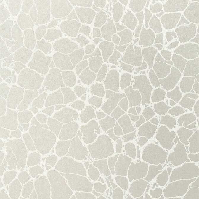 Purchase a sample of T4017 Amato, Surface Resource Thibaut Wallpaper