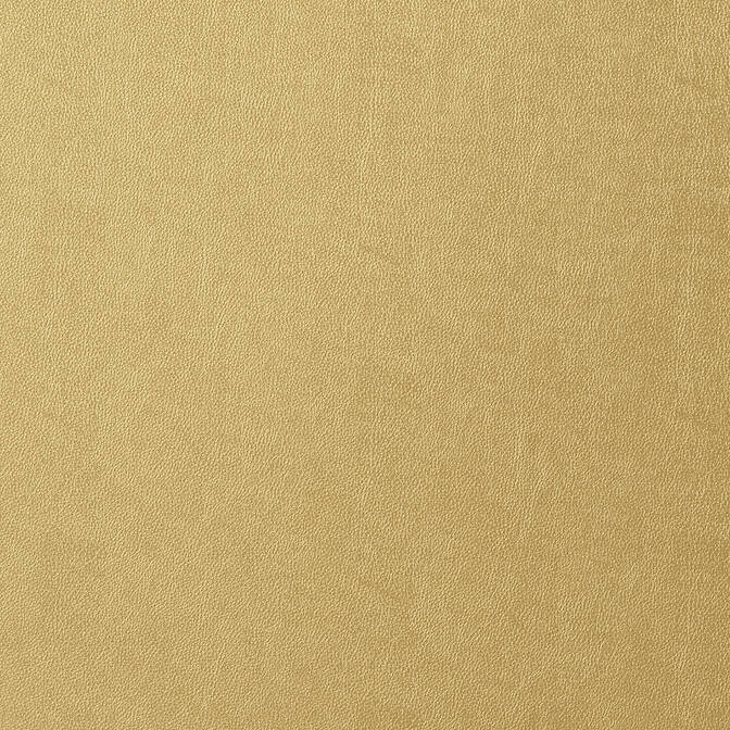 Purchase a sample of T57161 Western Leather, Texture Resource 5 Thibaut Wallpaper
