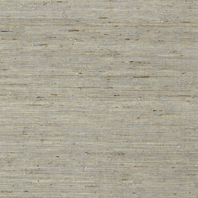 Purchase a sample of T85005 Maranta Arrowroot, Greenwood Thibaut Wallpaper