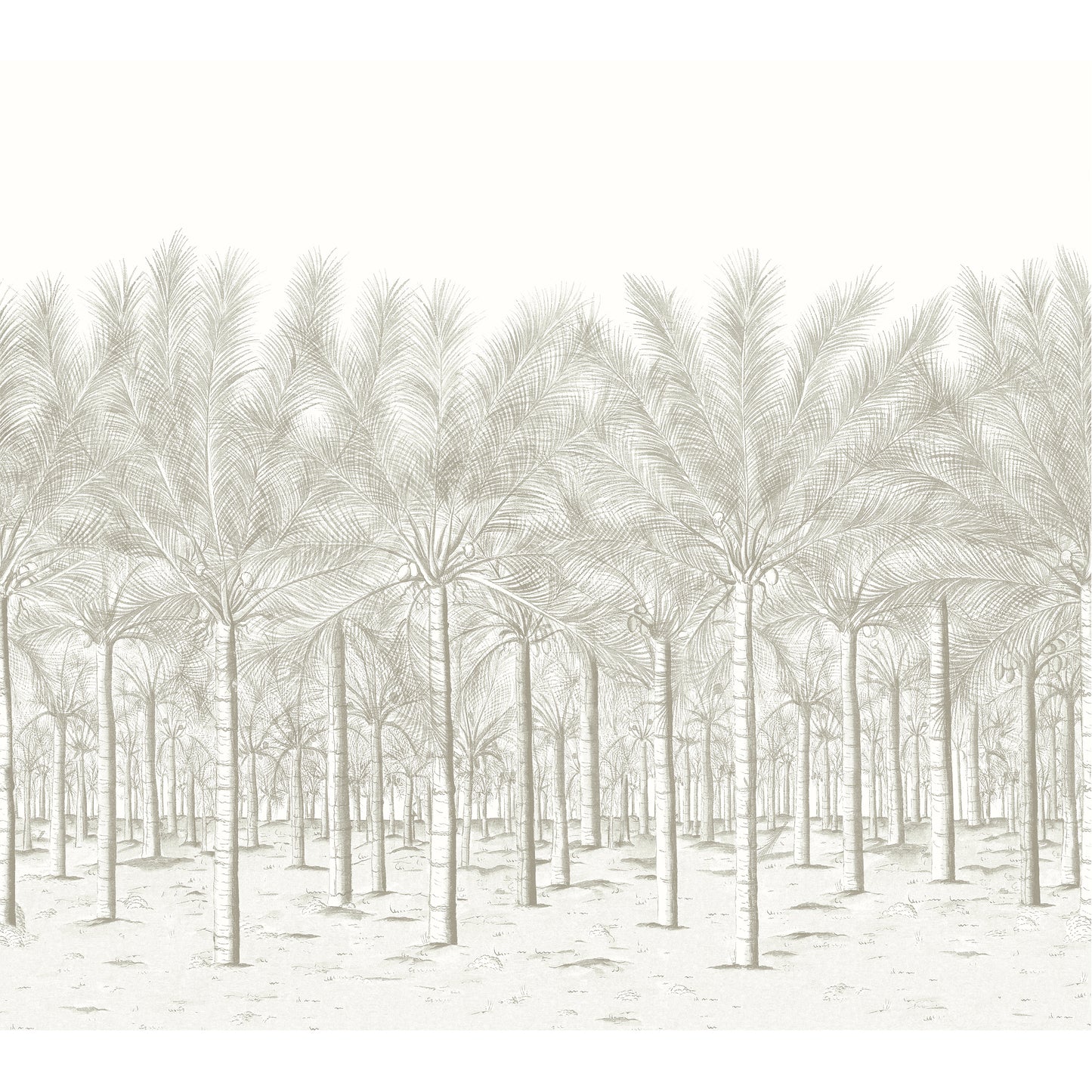 Purchase a sample of Tm13948 Palm Grove Mural, Palm Grove by Thibaut Wallpaper
