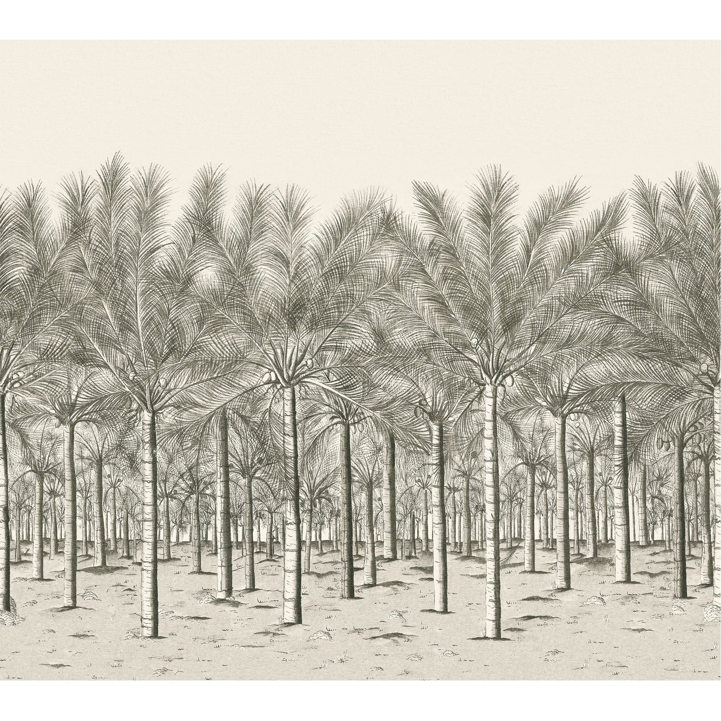 Purchase a sample of Tm13950 Palm Grove Mural, Palm Grove by Thibaut Wallpaper