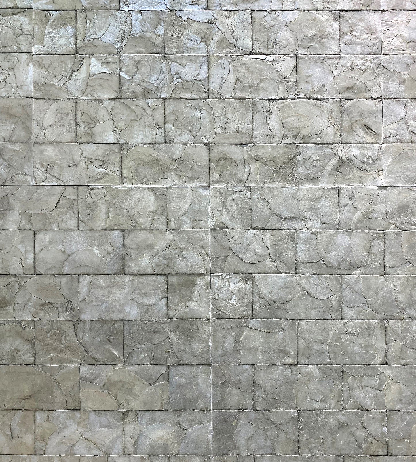 Purchase Scalamandre Wallpaper Pattern Wrwpe01 Name Pearlessence Mercury Geometric|Texture Wallpaper