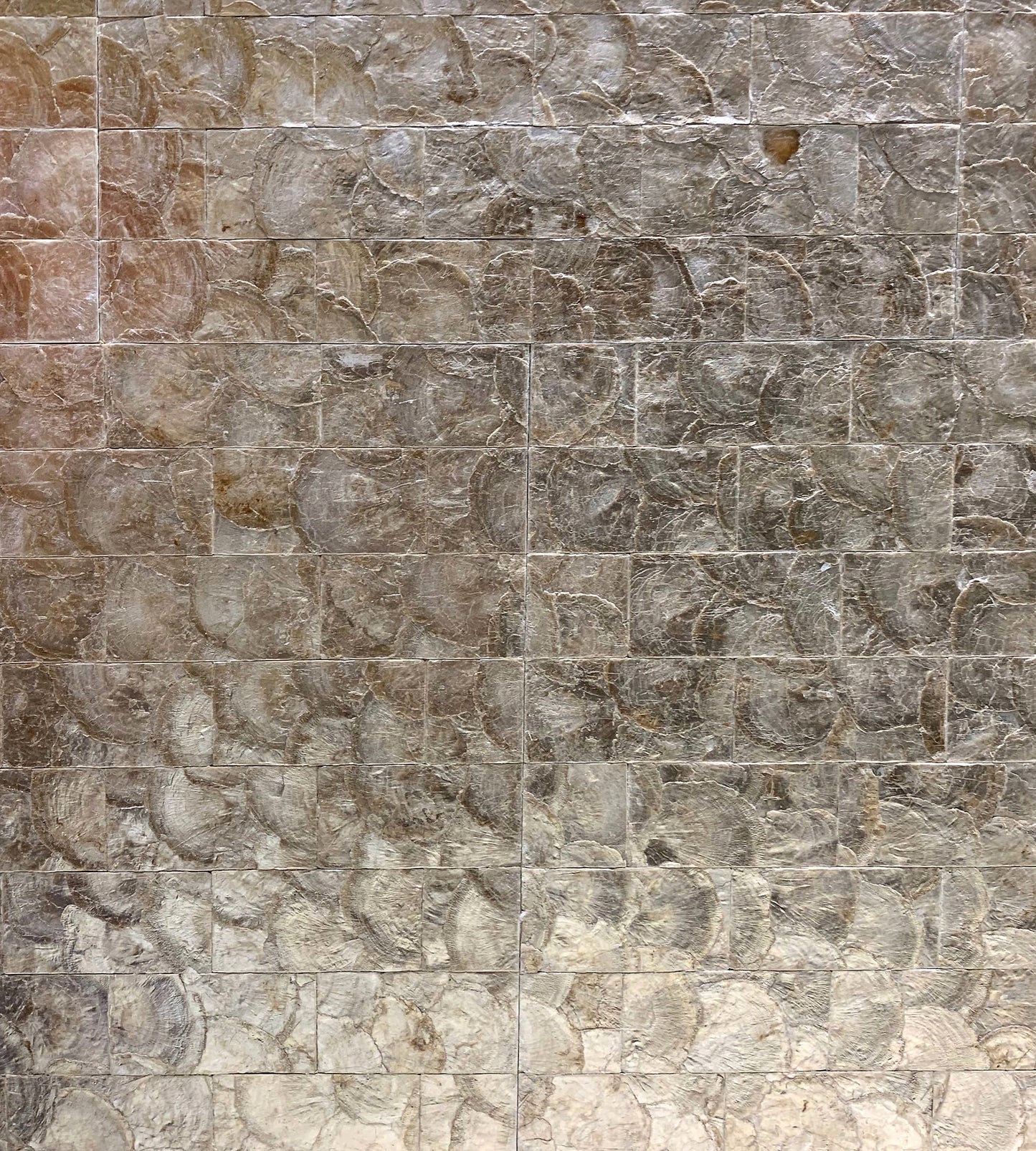 Find Scalamandre Wallpaper Pattern Wrwpe03 Name Pearlessence Gold Geometric|Texture Wallpaper