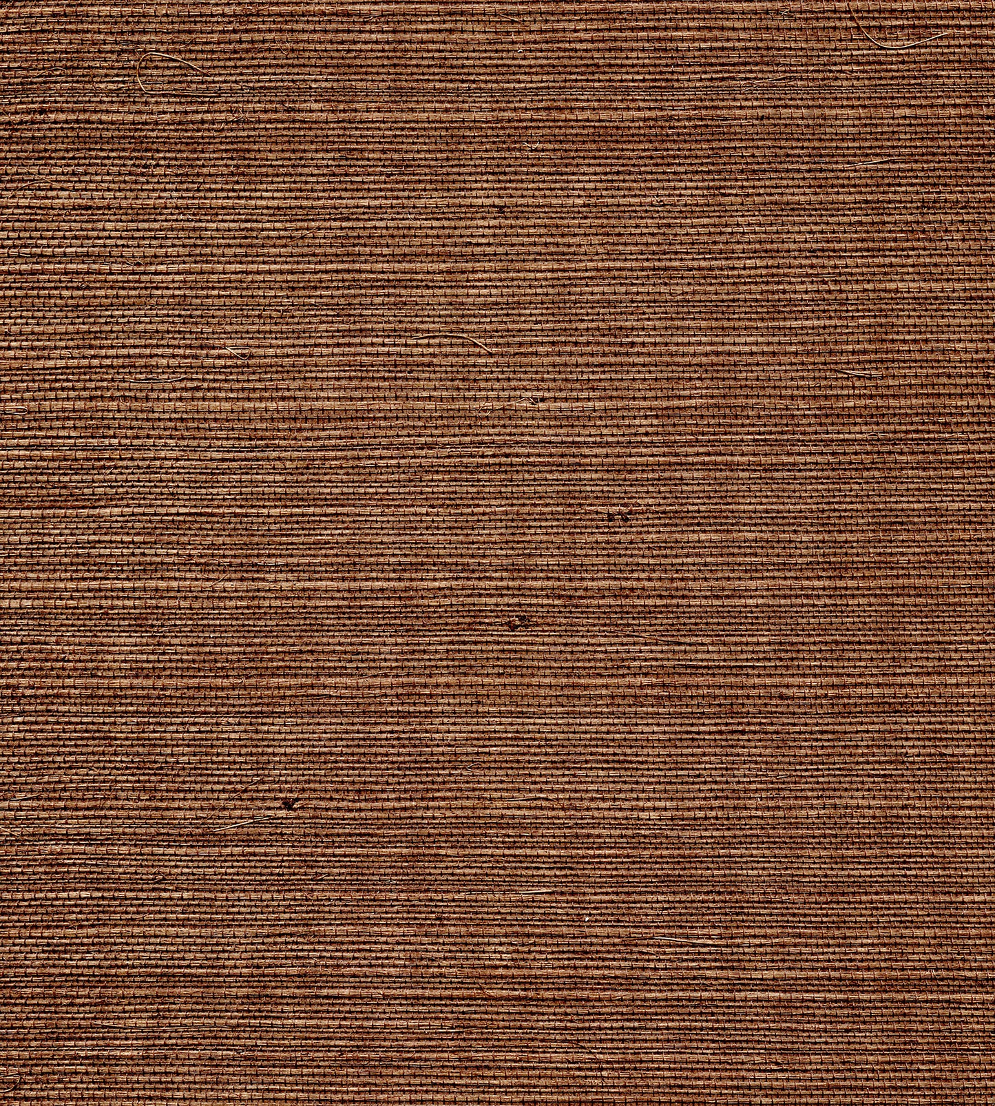Find Scalamandre Wallpaper Pattern Wtwgt3906 Name Organic Sisal Brush Texture Wallpaper