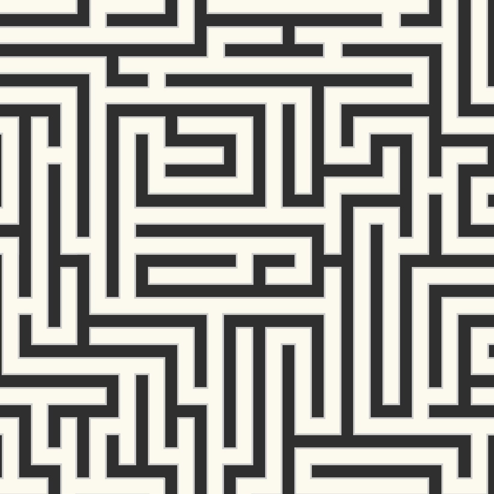 ZN50300 | Maze, Black - Etten Gallerie Wallpaper