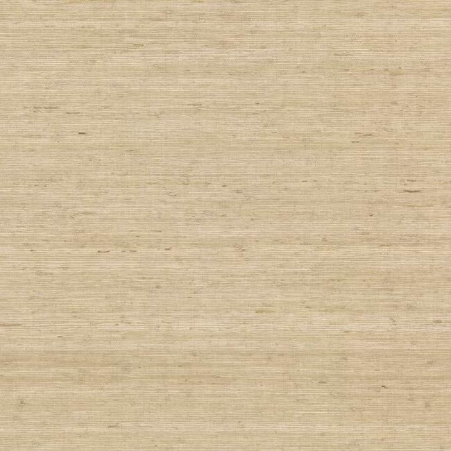 CV4401 Arrowroot Wallpaper Sand Waters Edge1CV4401 Arrowroot Wallpaper Sand Waters Edge2CV4401 Arrowroot Wallpaper Sand Waters Edge3