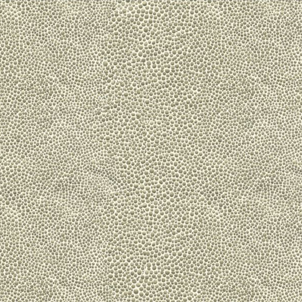 Shop MIRRORED.11 Mirrored Image Silver Metallic Kravet Couture Fabric