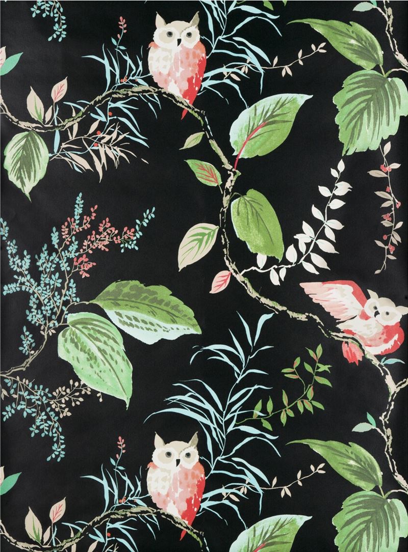 W3331.819.0 Owlish animal insects black wallpaper Kravet Design ; W3331.819.0 Owlish animal insects black wallpaper Kravet Design1