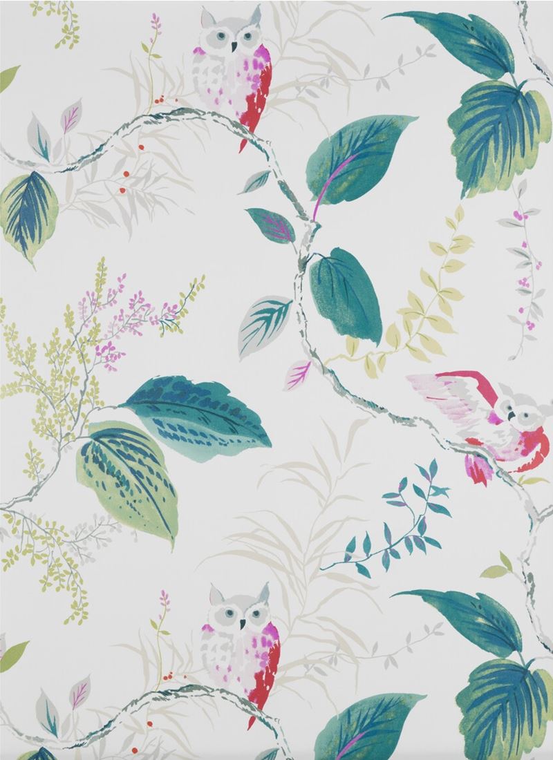 W3331.911.0 Owlish animal insects pink wallpaper Kravet Design ; W3331.911.0 Owlish animal insects pink wallpaper Kravet Design1