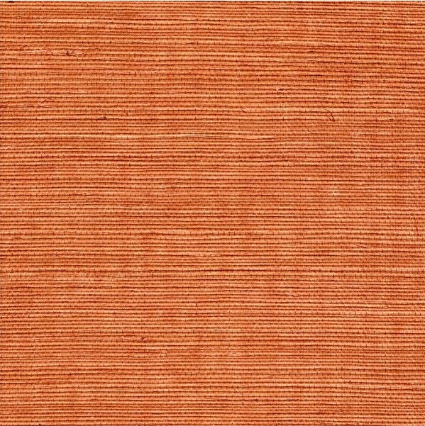 WSS4541.WT Sisal Amber by Winfield Thybony