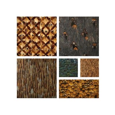 Schumacher Wallpaper by Library/Specialty by Schumacher Wallpaper