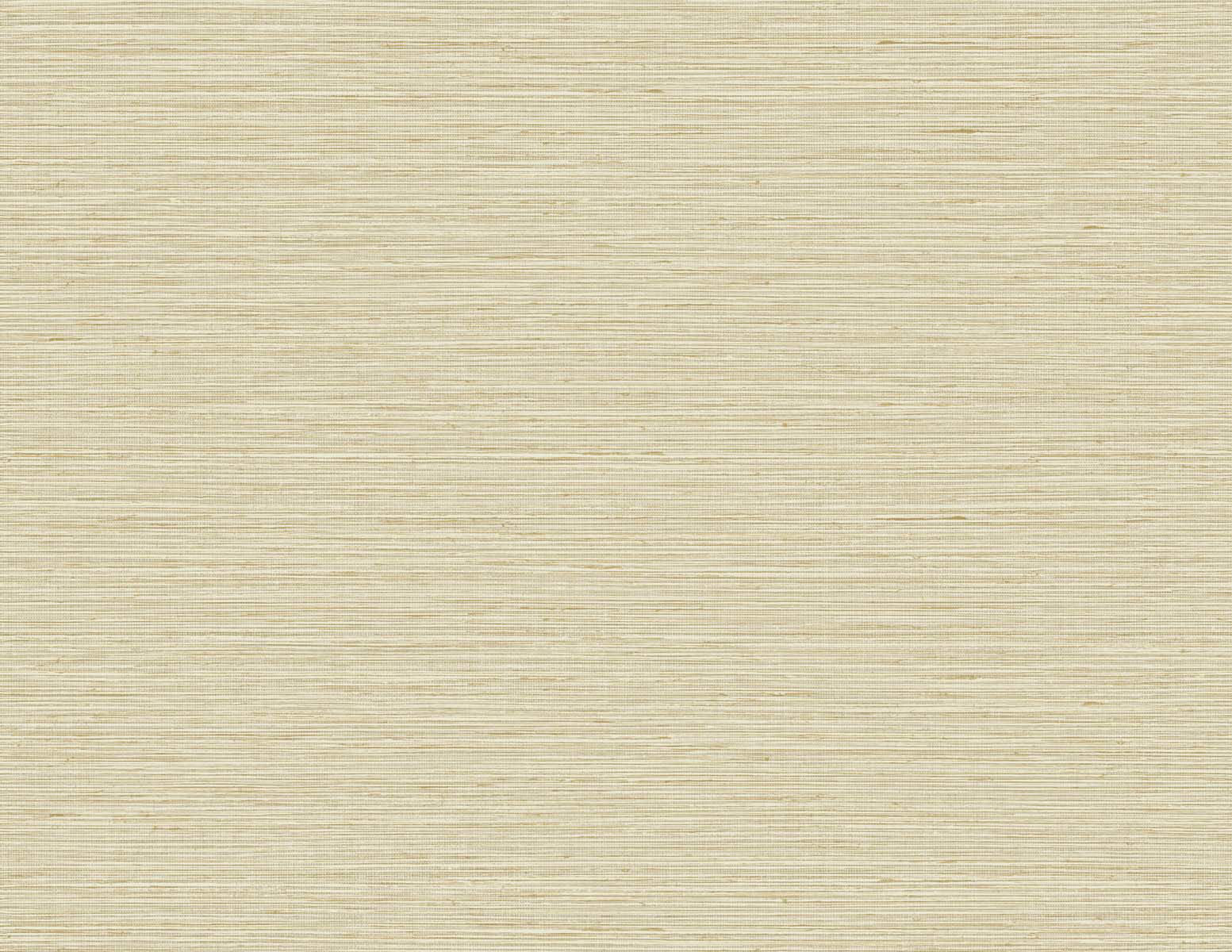 Purchase Seabrook Wallpaper SKU TG60338 Tedlar Textures Beige Textured Wallpaper