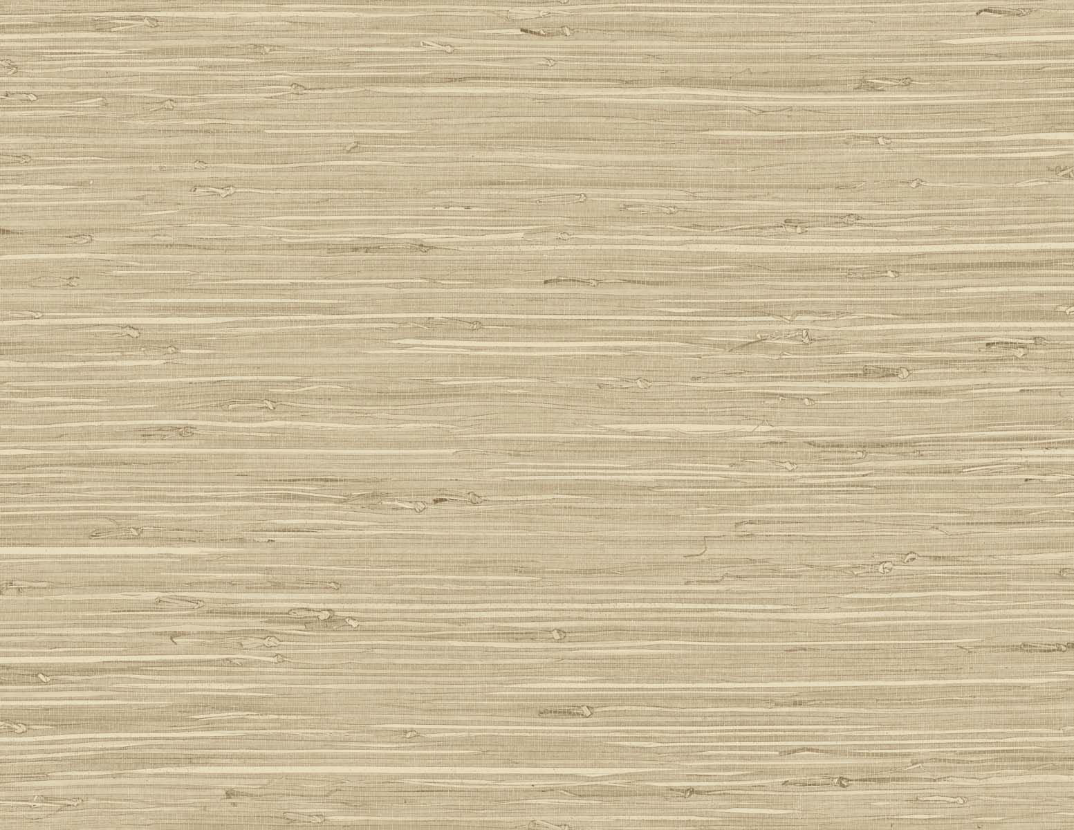 Purchase Seabrook Wallpaper Product# TG60516 Tedlar Textures Beige Textured Wallpaper