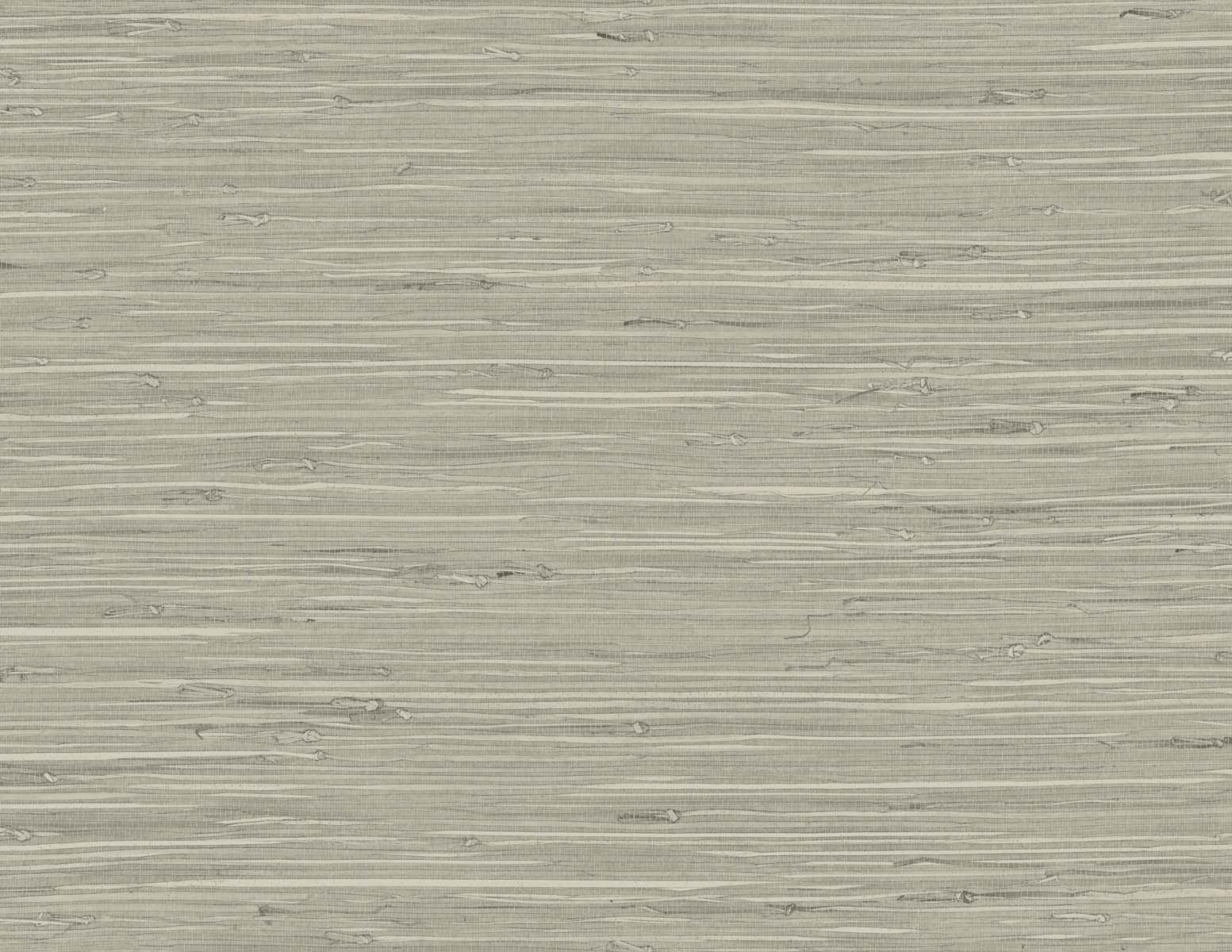 Purchase Seabrook Wallpaper SKU# TG60529 Tedlar Textures Neutral Textured Wallpaper