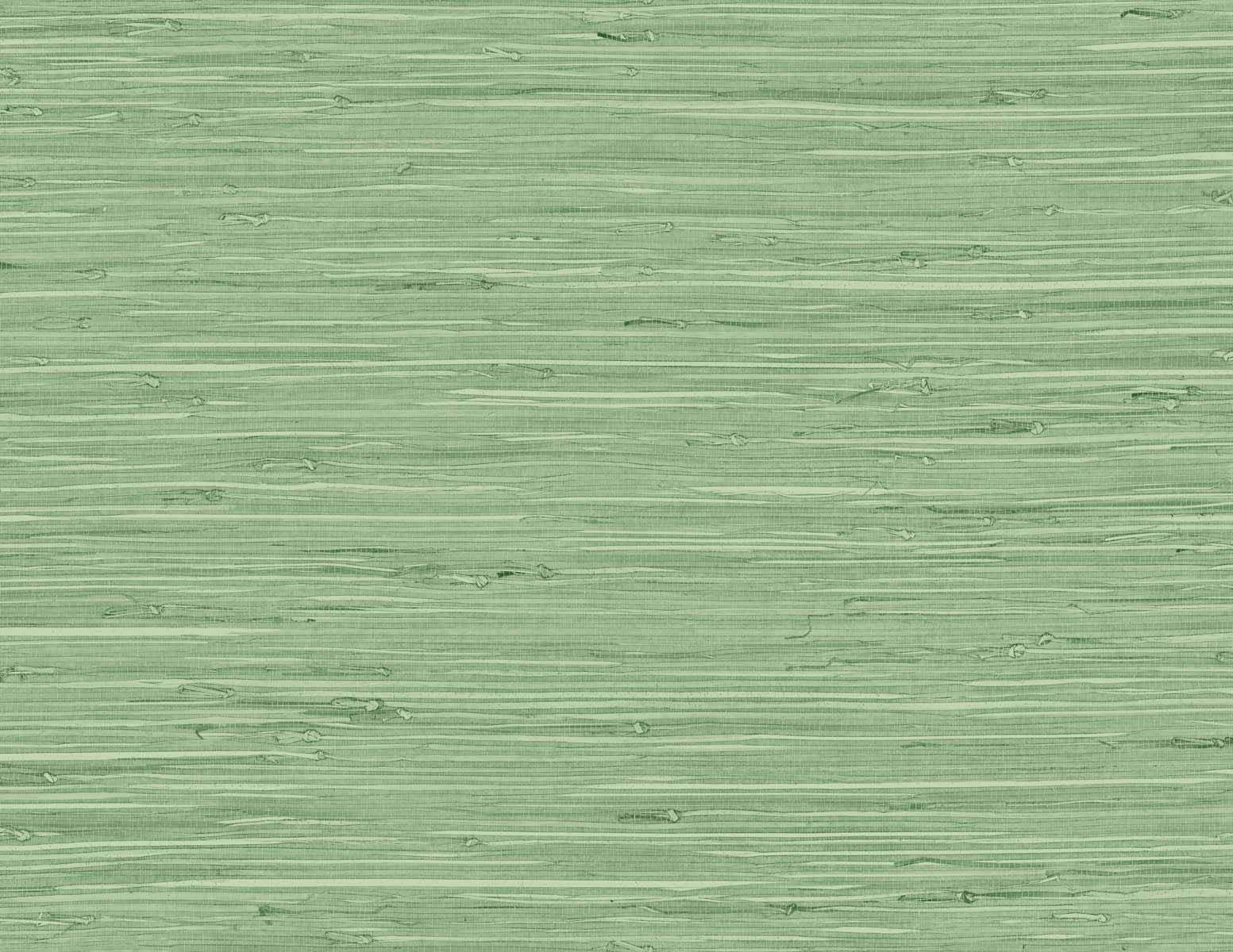 Purchase Seabrook Wallpaper Pattern# TG60534 Tedlar Textures Green Textured Wallpaper