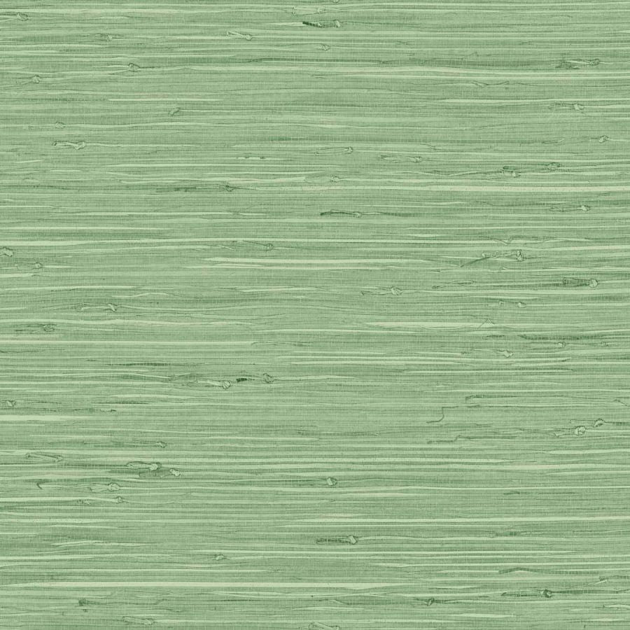 Purchase Seabrook Wallpaper SKU# TG60534 Tedlar Textures Green Textured Wallpaper