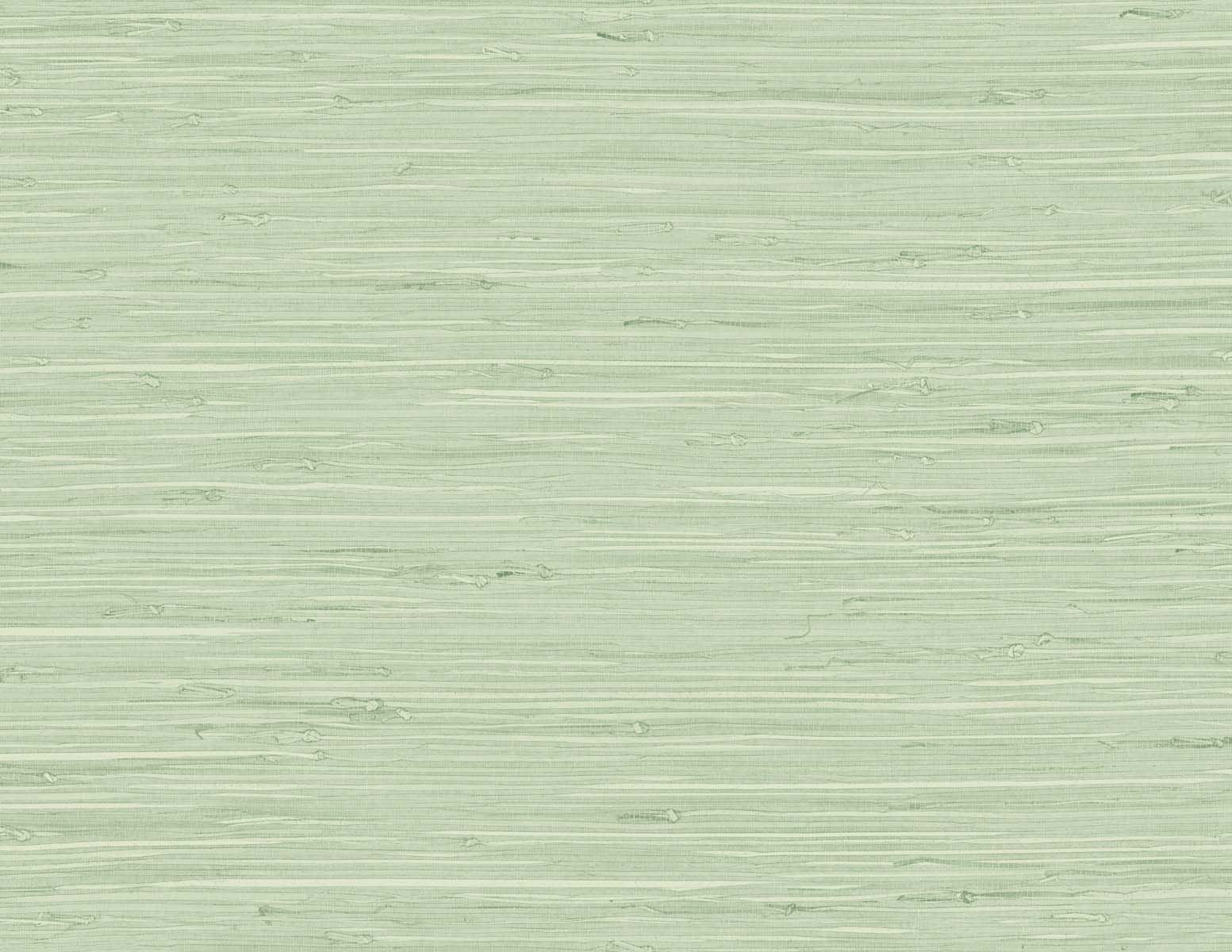 Purchase Seabrook Wallpaper Item# TG60535 Tedlar Textures Green Textured Wallpaper