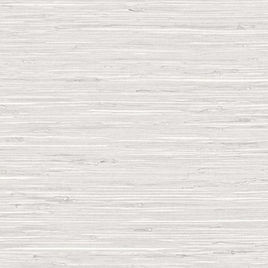Purchase Seabrook Wallpaper Wallpaper - Tg65512, Fine Arrowroot
