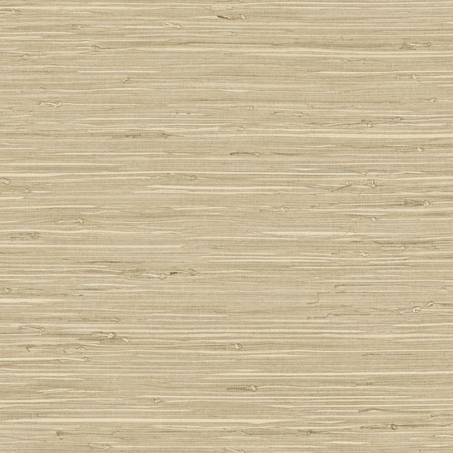 Purchase Seabrook Wallpaper Wallpaper - Tg65516, Fine Arrowroot