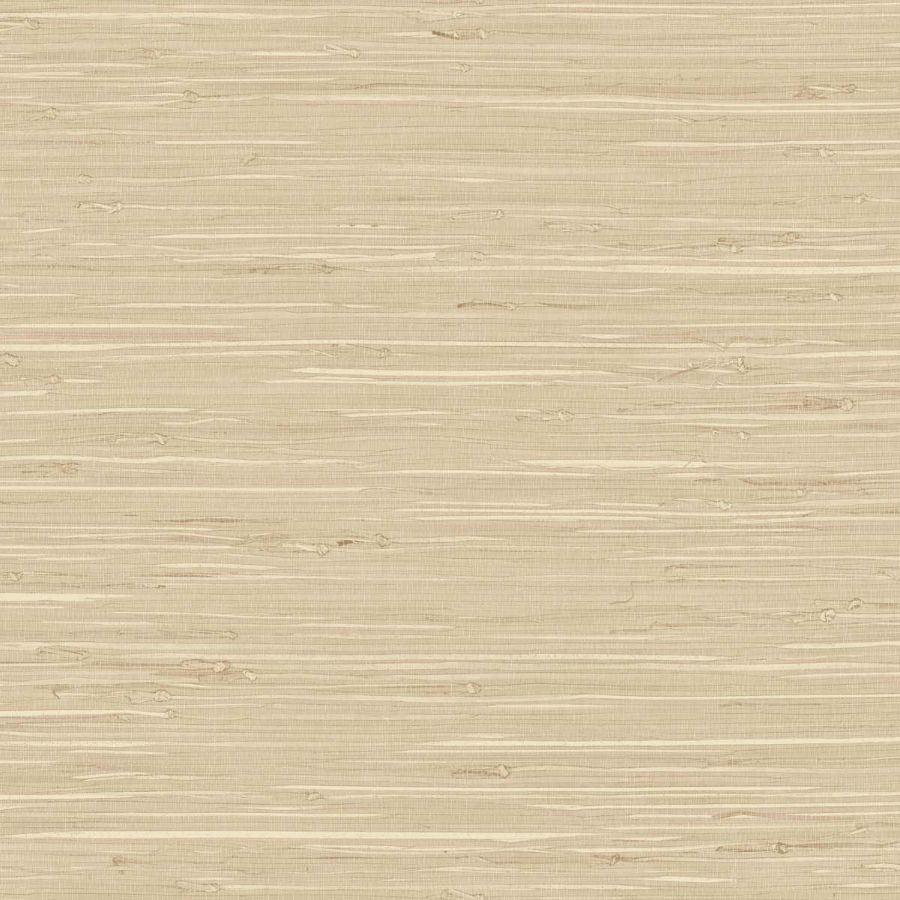 Purchase Seabrook Wallpaper Wallpaper - Tg65517, Fine Arrowroot