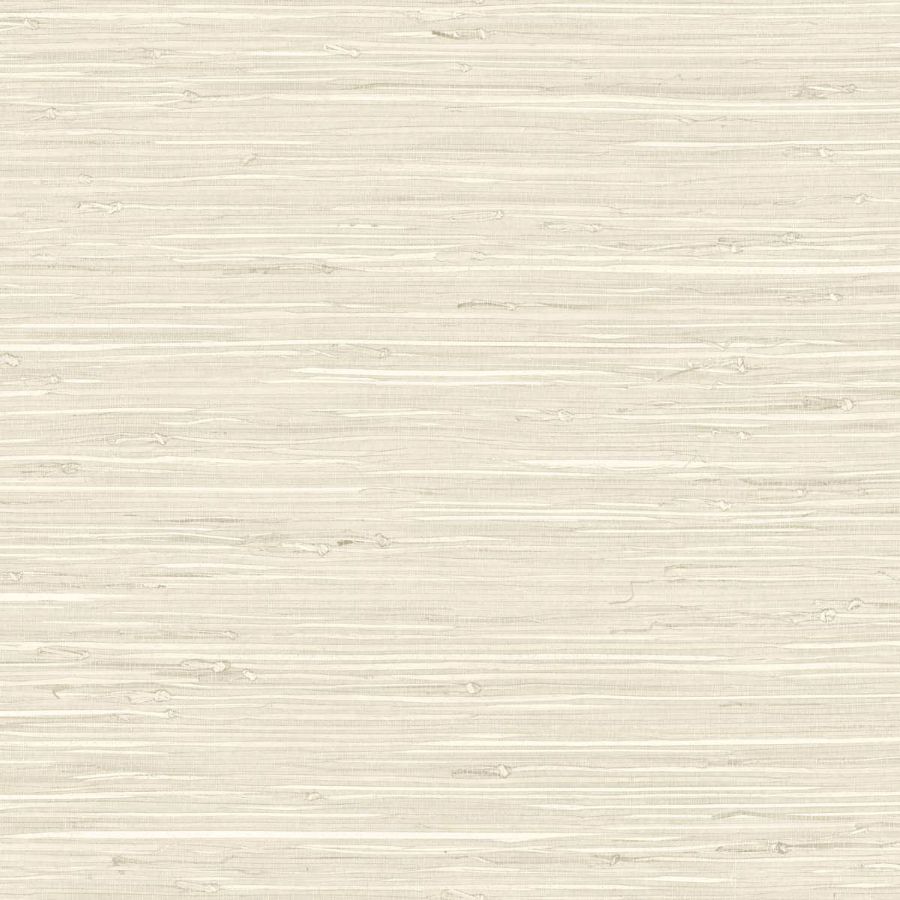Purchase Seabrook Wallpaper Wallpaper - Tg65527, Fine Arrowroot