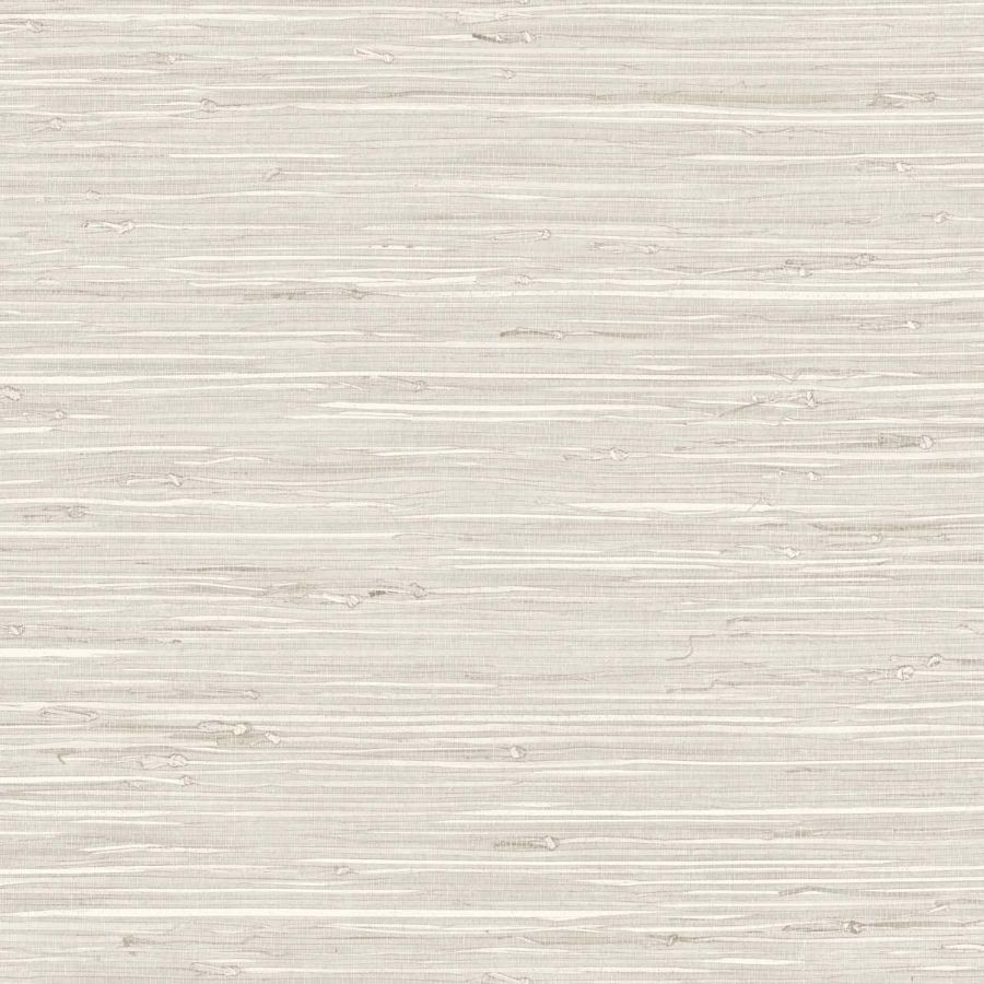 Purchase Seabrook Wallpaper Wallpaper - Tg65528, Fine Arrowroot