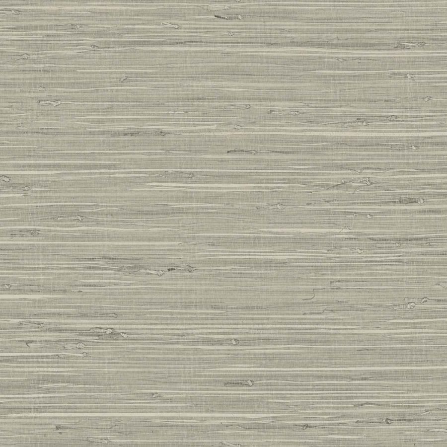 Purchase Seabrook Wallpaper Wallpaper - Tg65529, Fine Arrowroot