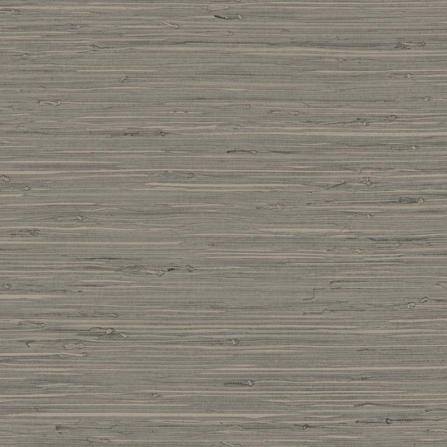 Purchase Seabrook Wallpaper Wallpaper - Tg65530, Fine Arrowroot