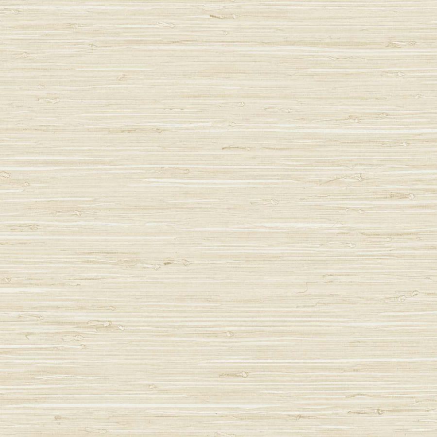 Purchase Seabrook Wallpaper Wallpaper - Tg65531, Fine Arrowroot