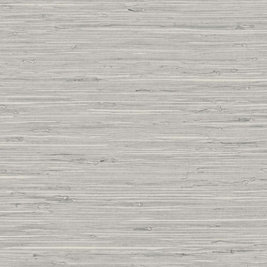 Purchase Seabrook Wallpaper Wallpaper - Tg65532, Fine Arrowroot