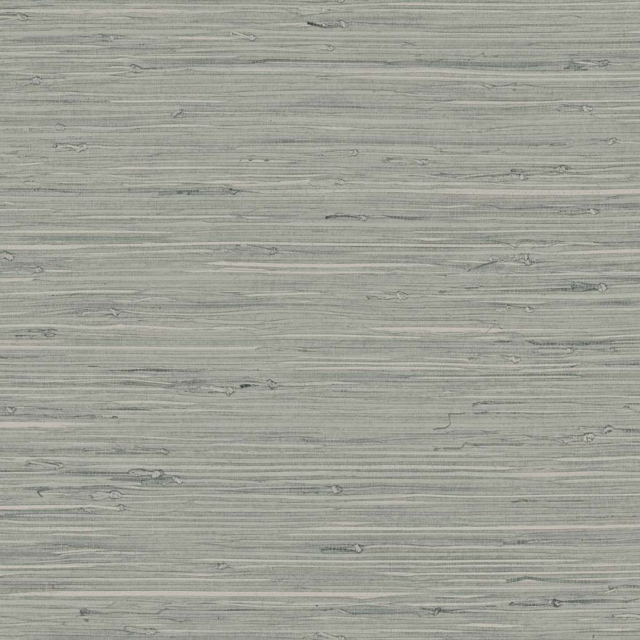 Purchase Seabrook Wallpaper Wallpaper - Tg65533, Fine Arrowroot