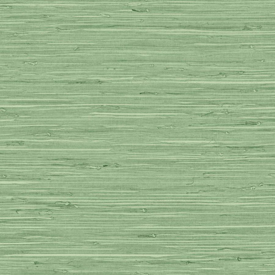 Purchase Seabrook Wallpaper Wallpaper - Tg65534, Fine Arrowroot