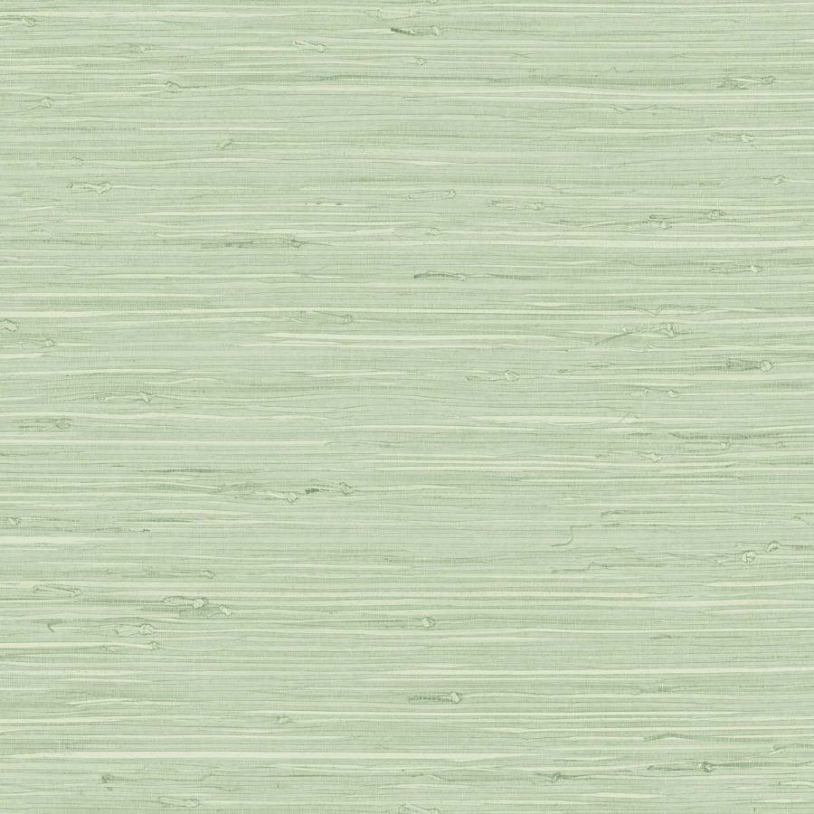 Purchase Seabrook Wallpaper Wallpaper - Tg65535, Fine Arrowroot