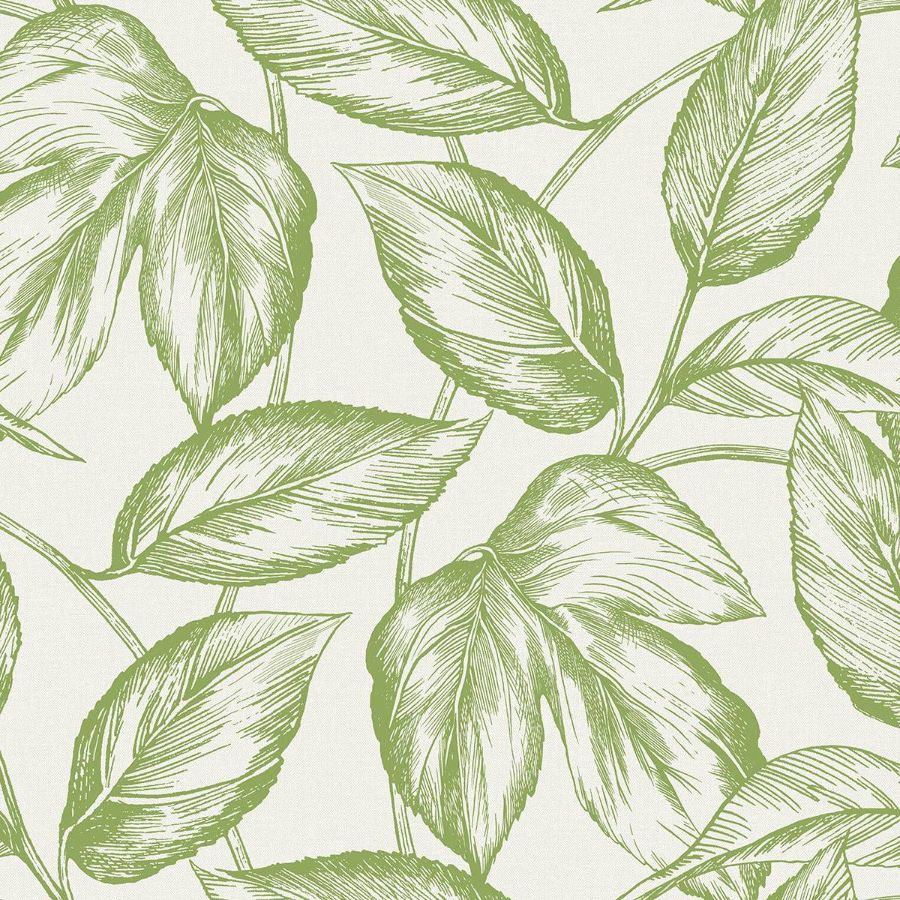 Purchase Seabrook Wallpaper Item# SC20004 Summer House Green Trees Wallpaper