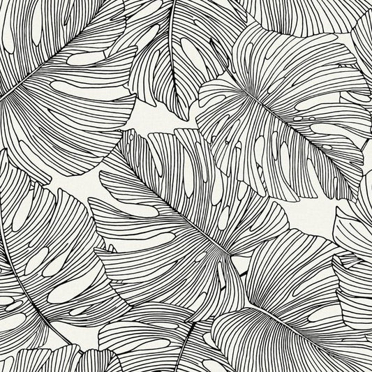 Purchase Seabrook Wallpaper Pattern number SC20200 Summer House Black Floral Wallpaper
