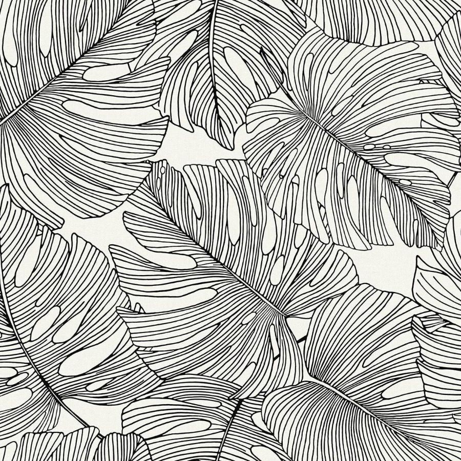 Purchase Seabrook Wallpaper Pattern number SC20200 Summer House Black Floral Wallpaper