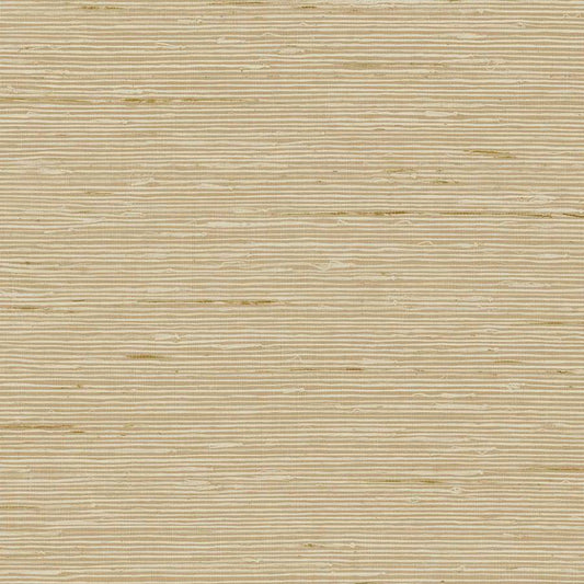 Purchase Seabrook Wallpaper Product# CP90207 A Lot More Textures Beige Textured Wallpaper