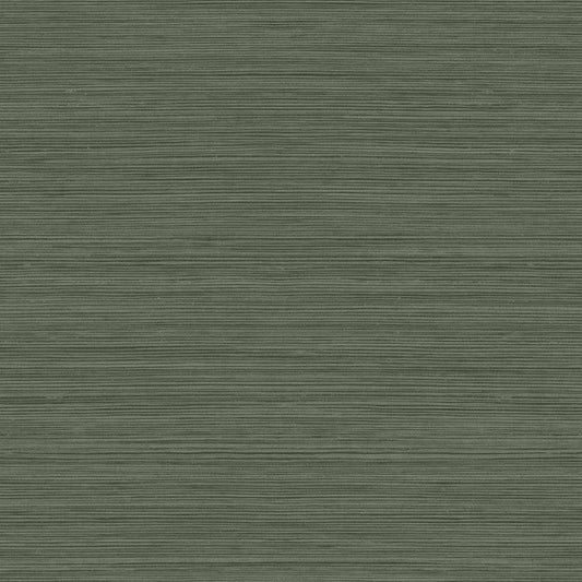 Purchase Seabrook Wallpaper Item# CP92104 A Lot More Textures Green Textured Wallpaper