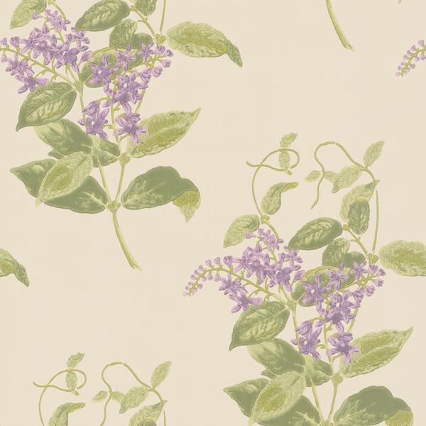 Sample 100/12056 Madras Violet Cole and Son Wallpaper