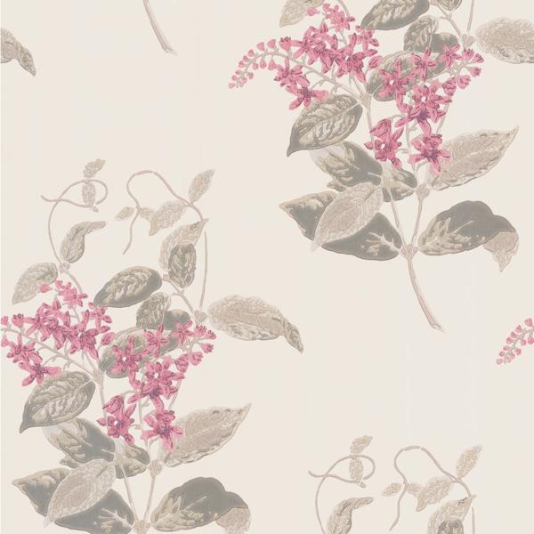 Order 100/12058 Cs Madras Violet Pink By Cole and Son Wallpaper