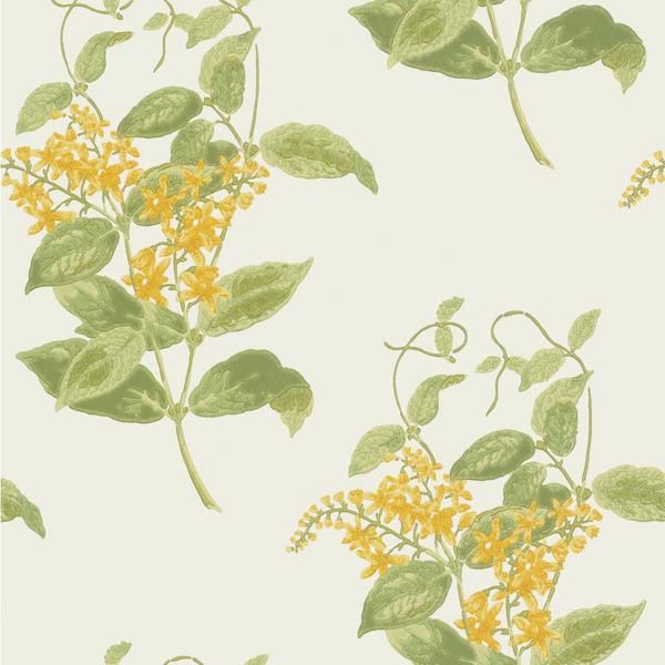 Sample 100/12059 Madras Violet Cole and Son Wallpaper