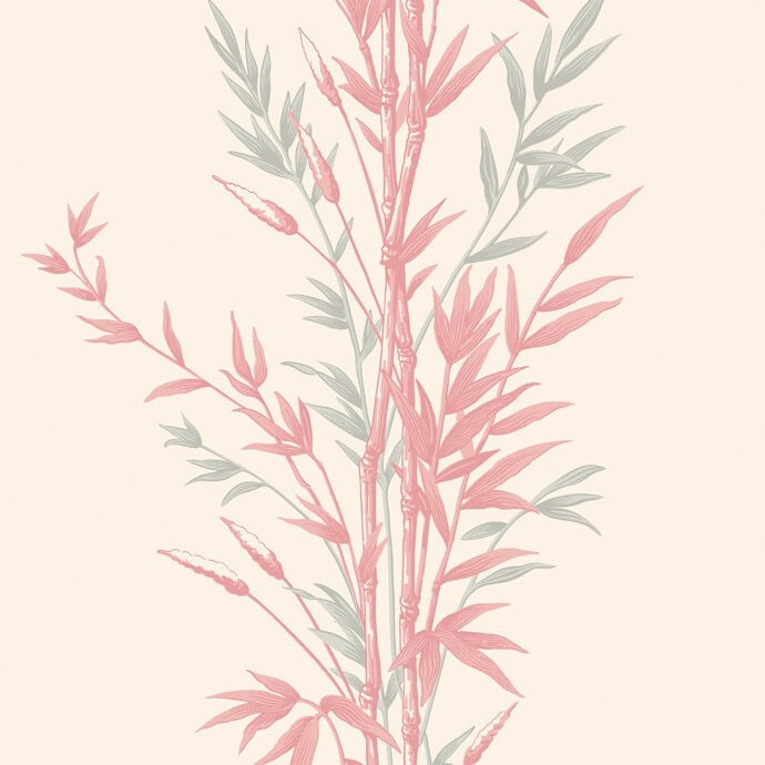 Sample 100/5024 Bamboo Cole and Son Wallpaper